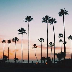 Meet your Posher, Kaylee